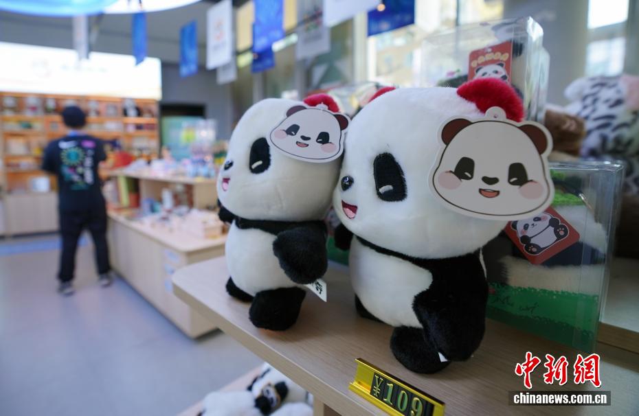 成都世运会开幕在即 中国首次承办展现多元体育